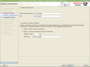 Database Configuration Assistant - Create Database - Step 4 of 13_015