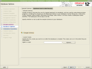 Database Configuration Assistant - Create Database - Step 9 of 14_005