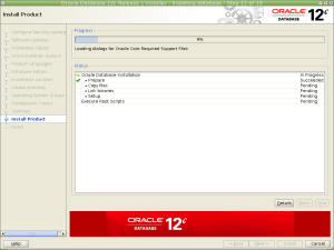 Oracle Database 12c Release 1 Installer - Installing database - Step 12 of 13_007